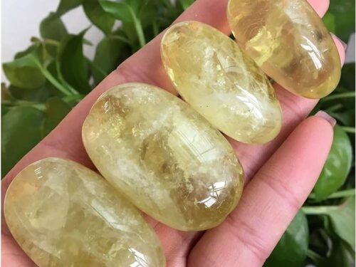 citrine palm stone